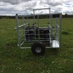 Photo 07-08-2018, 21 44 16