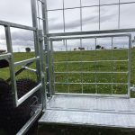 Photo 07-08-2018, 21 44 21 (1)